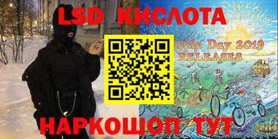 Альфа ПВП Бийск