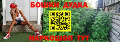 крисы Бийск