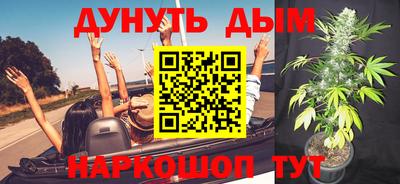 крисы Бийск