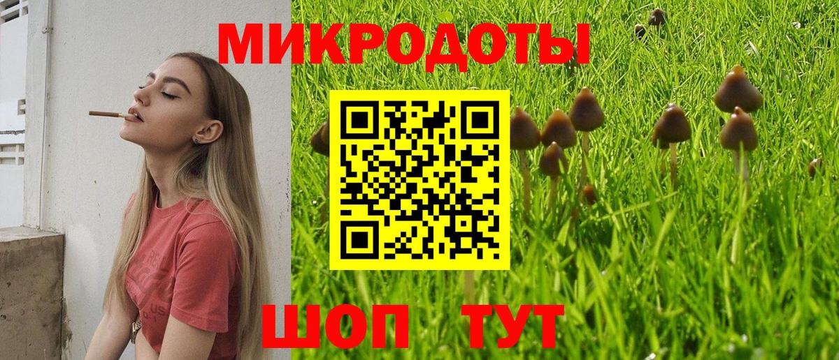 Псилоцибиновые грибы GOLDEN TEACHER Нижнекамск
