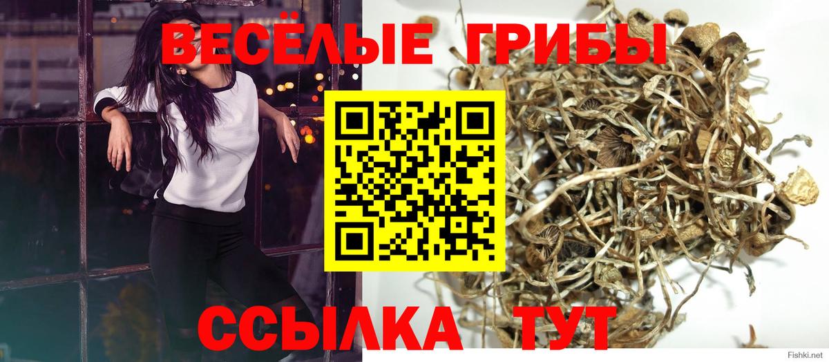 Галлюциногенные грибы GOLDEN TEACHER  Нижнекамск 