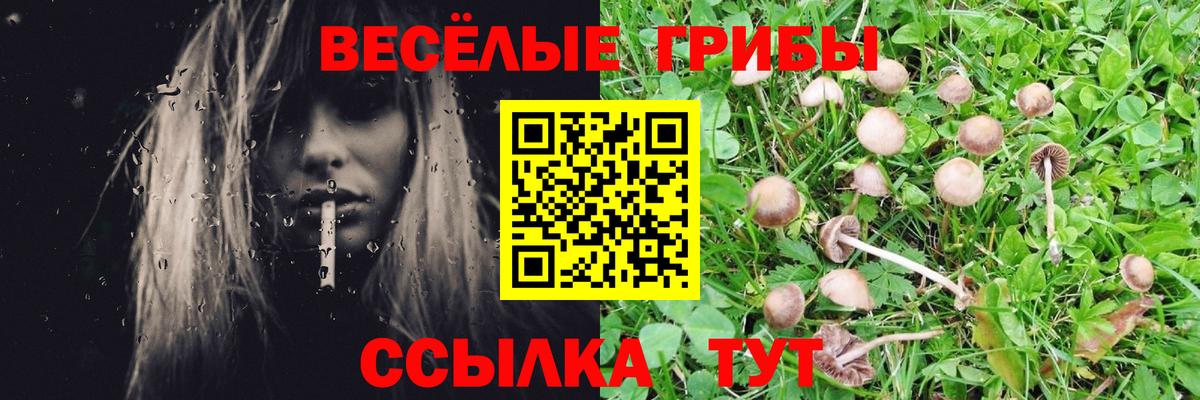 Псилоцибиновые грибы Psilocybine cubensis  Вход с VPN  Нижнекамск  Псилоцибиновые грибы мицелий 